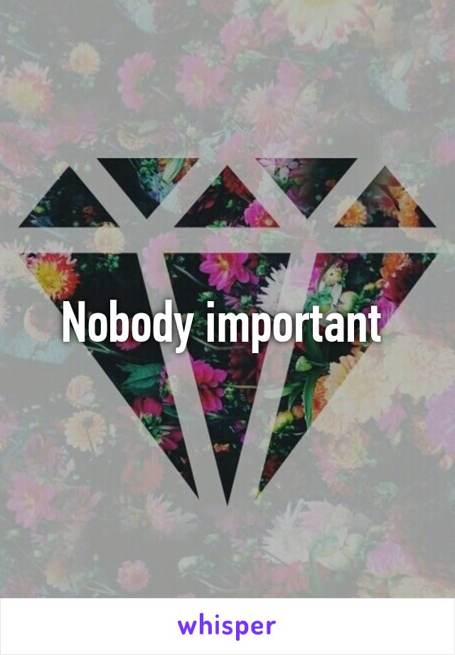 Nobody important 