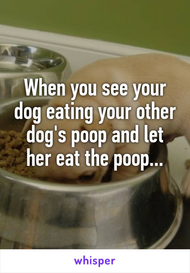 When you see your dog eating your other dog's poop and let her eat the poop...
