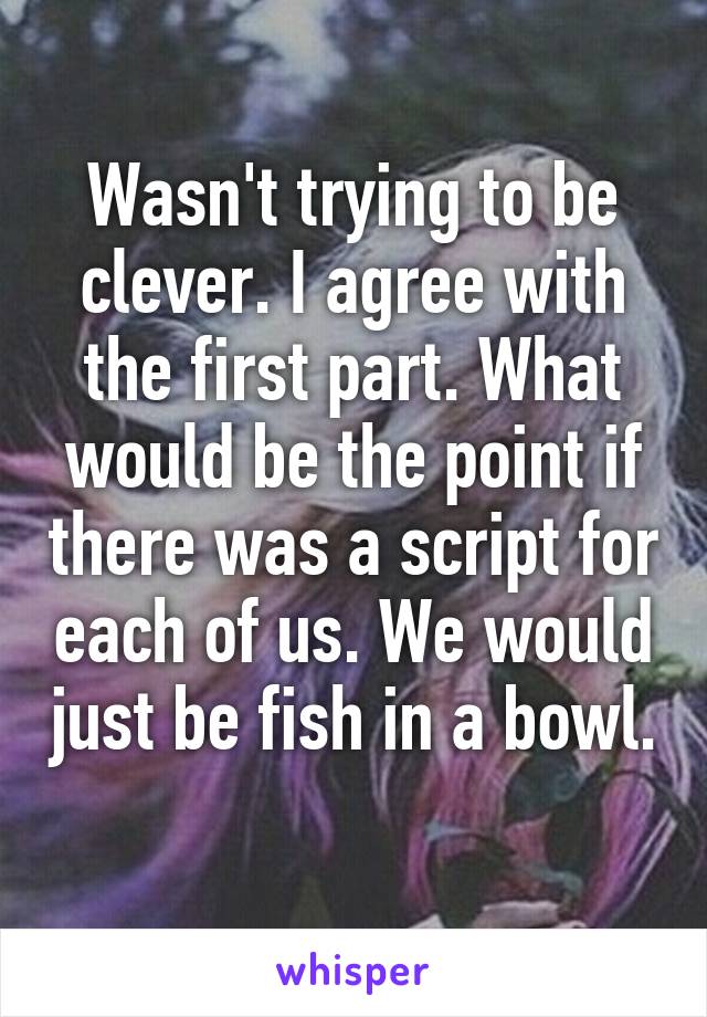 Wasn't trying to be clever. I agree with the first part. What would be the point if there was a script for each of us. We would just be fish in a bowl. 