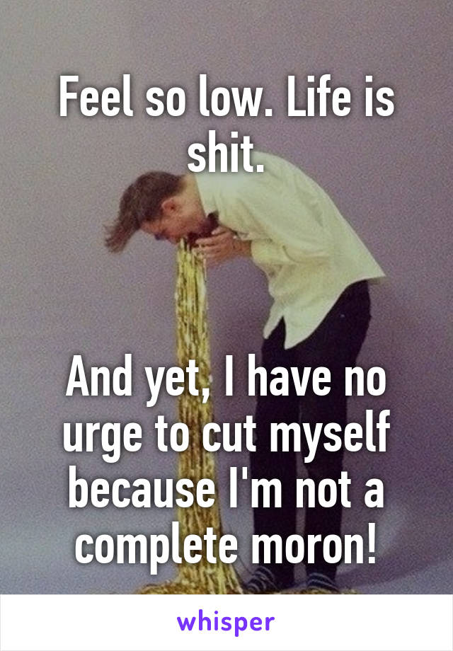 Feel so low. Life is shit.



And yet, I have no urge to cut myself because I'm not a complete moron!