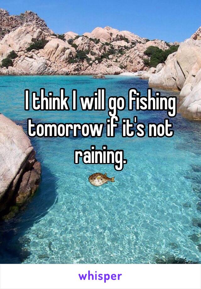 I think I will go fishing tomorrow if it's not raining. 
🐡