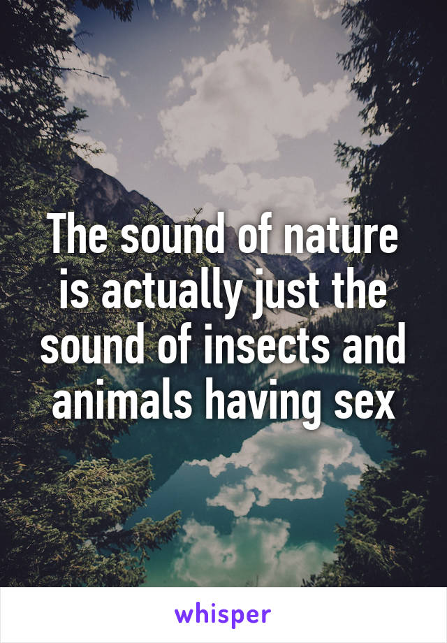 The sound of nature is actually just the sound of insects and animals having sex