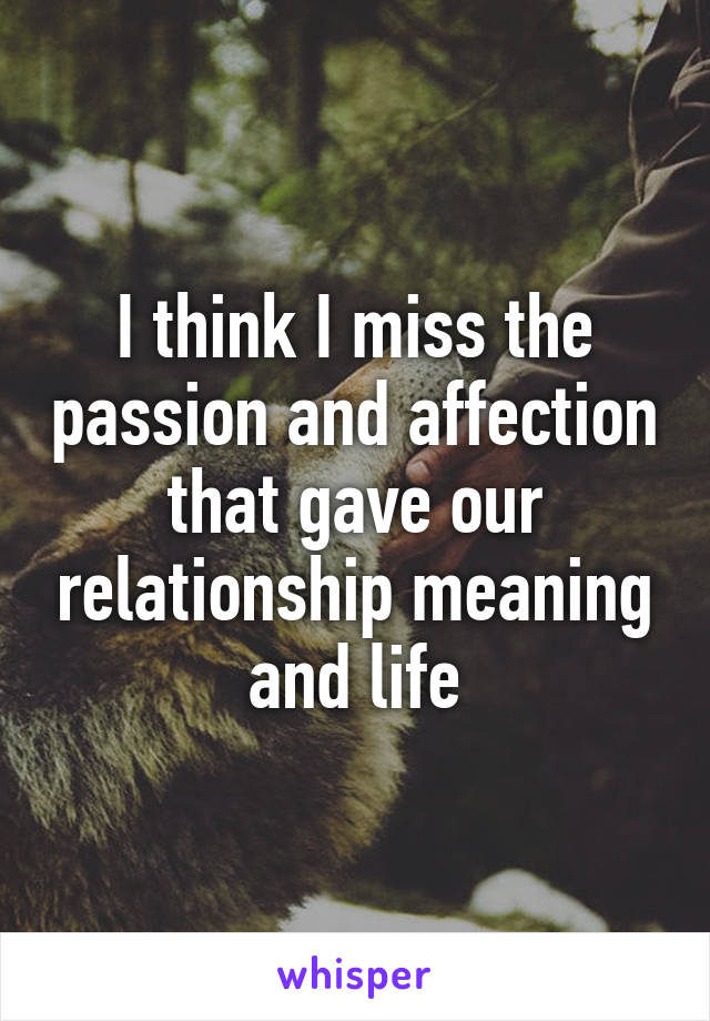 I think I miss the passion and affection that gave our relationship meaning and life