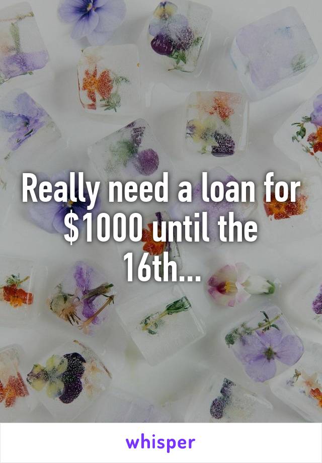 Really need a loan for $1000 until the 16th...