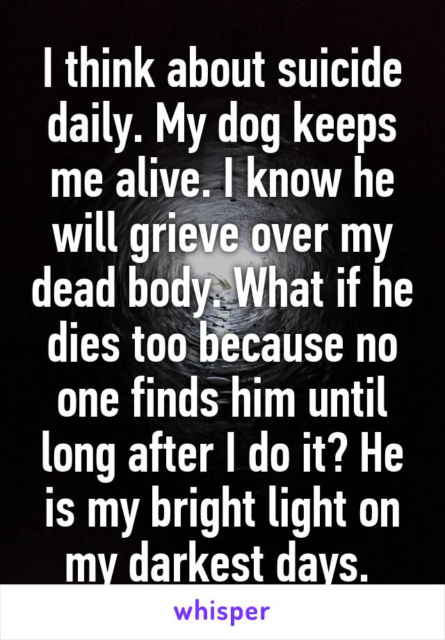 I think about suicide daily. My dog keeps me alive. I know he will grieve over my dead body. What if he dies too because no one finds him until long after I do it? He is my bright light on my darkest days. 