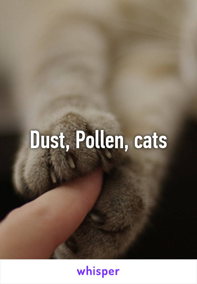 Dust, Pollen, cats