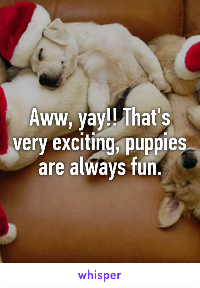 Aww, yay!! That's very exciting, puppies are always fun.