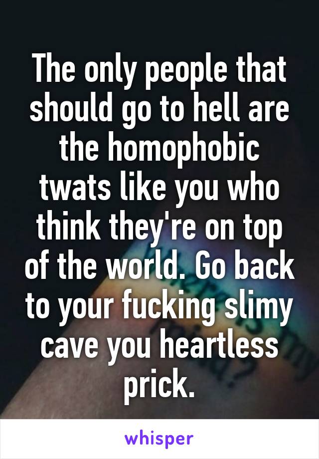 The only people that should go to hell are the homophobic twats like you who think they're on top of the world. Go back to your fucking slimy cave you heartless prick.