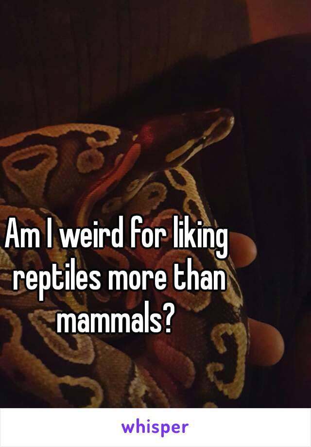 Am I weird for liking reptiles more than mammals? 