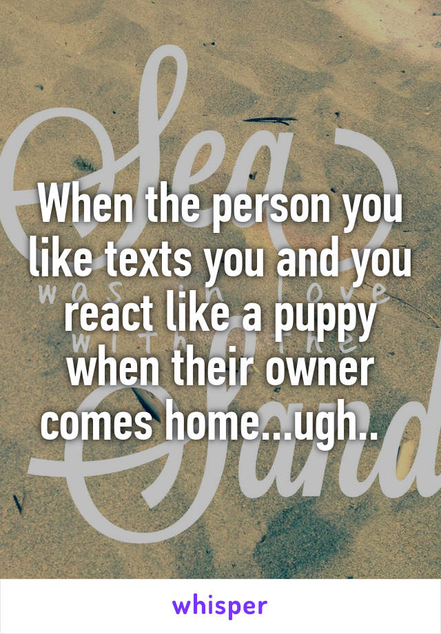 When the person you like texts you and you react like a puppy when their owner comes home...ugh..  