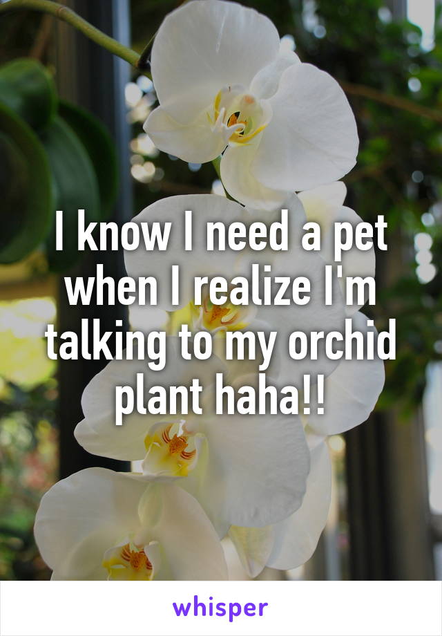 I know I need a pet when I realize I'm talking to my orchid plant haha!!