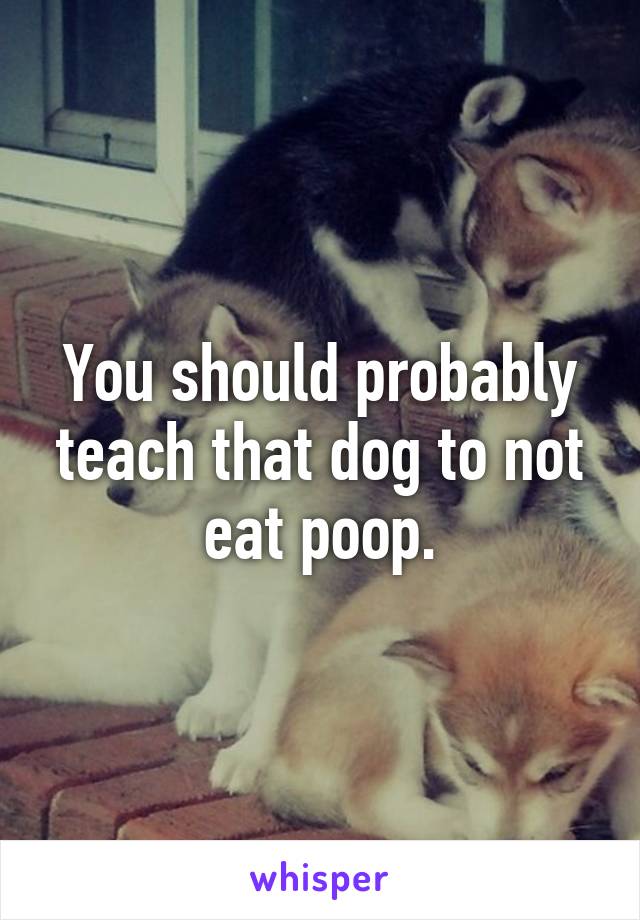 You should probably teach that dog to not eat poop.