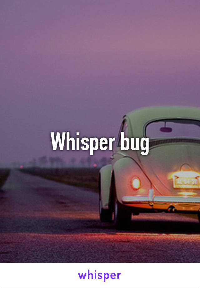 Whisper bug