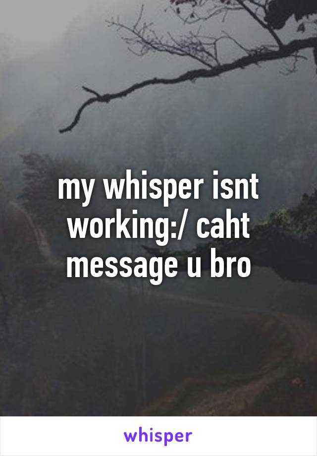 my whisper isnt working:/ caht message u bro