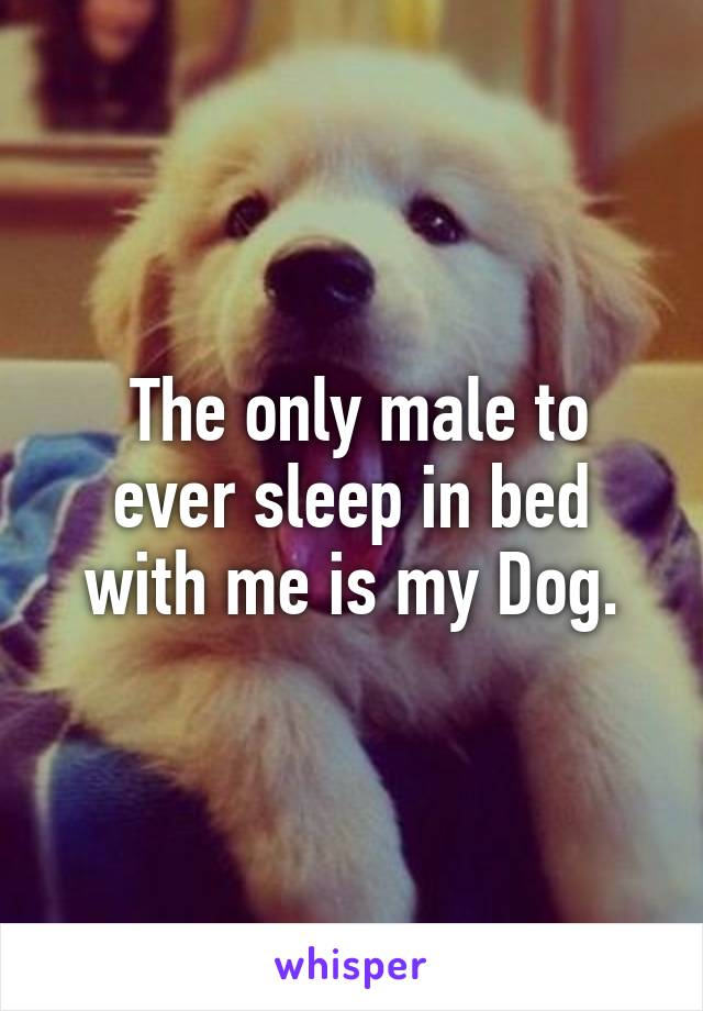  The only male to ever sleep in bed with me is my Dog.