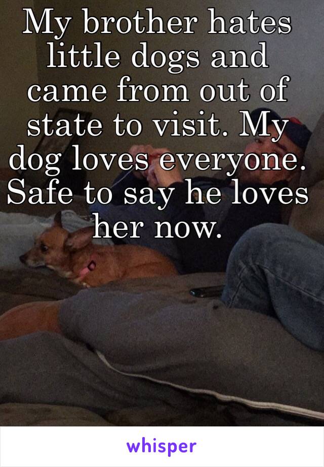 My brother hates little dogs and came from out of state to visit. My dog loves everyone. Safe to say he loves her now. 