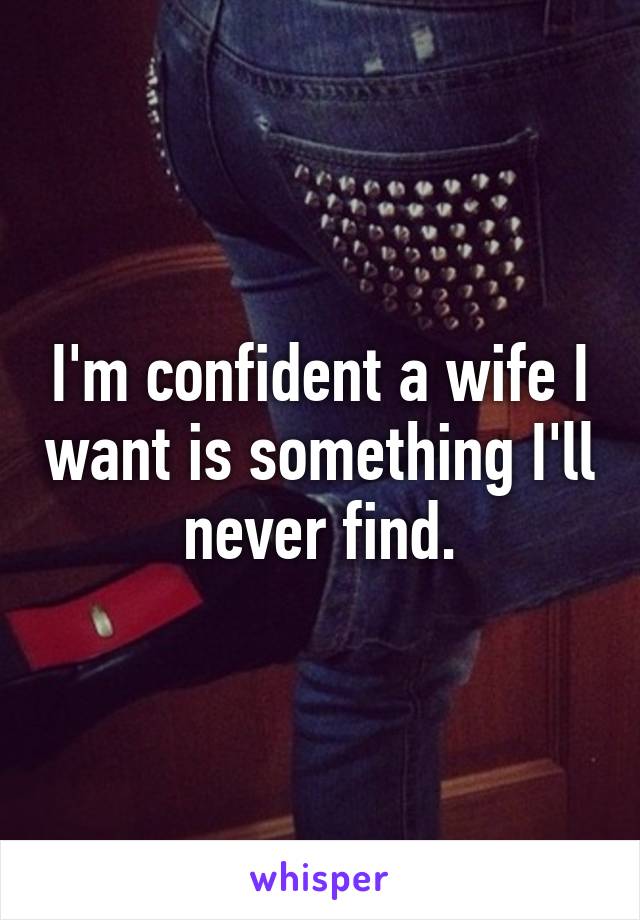 I'm confident a wife I want is something I'll never find.