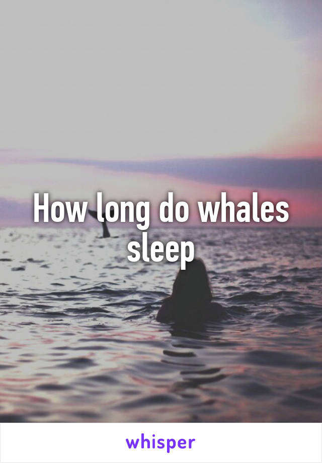 How long do whales sleep