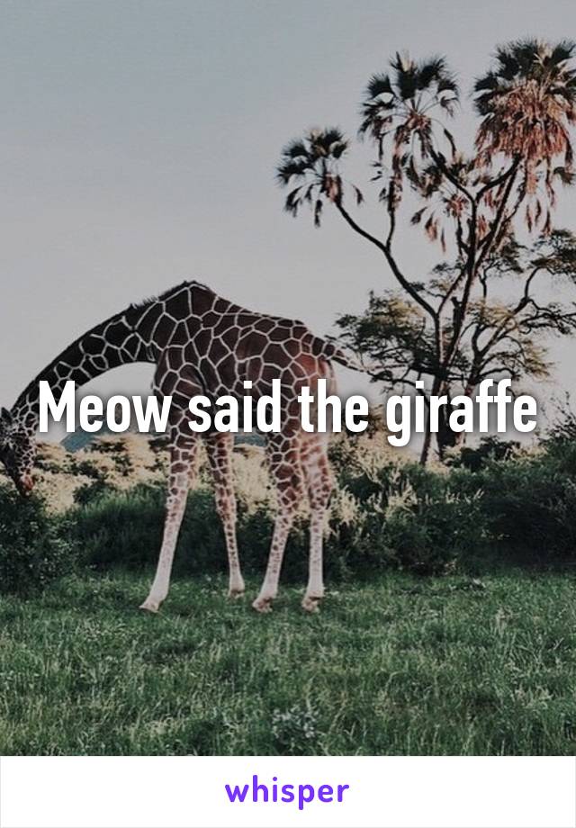 Meow said the giraffe