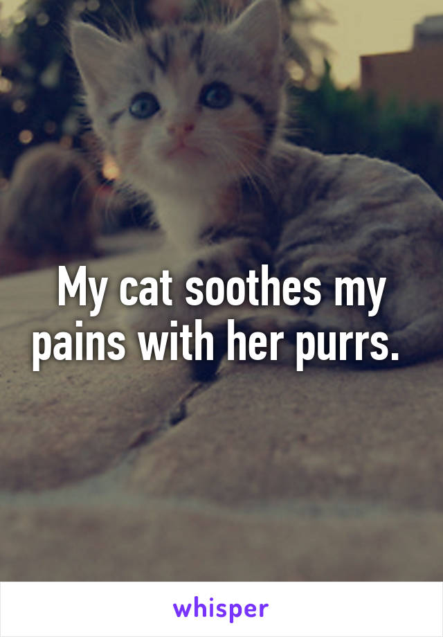 My cat soothes my pains with her purrs. 