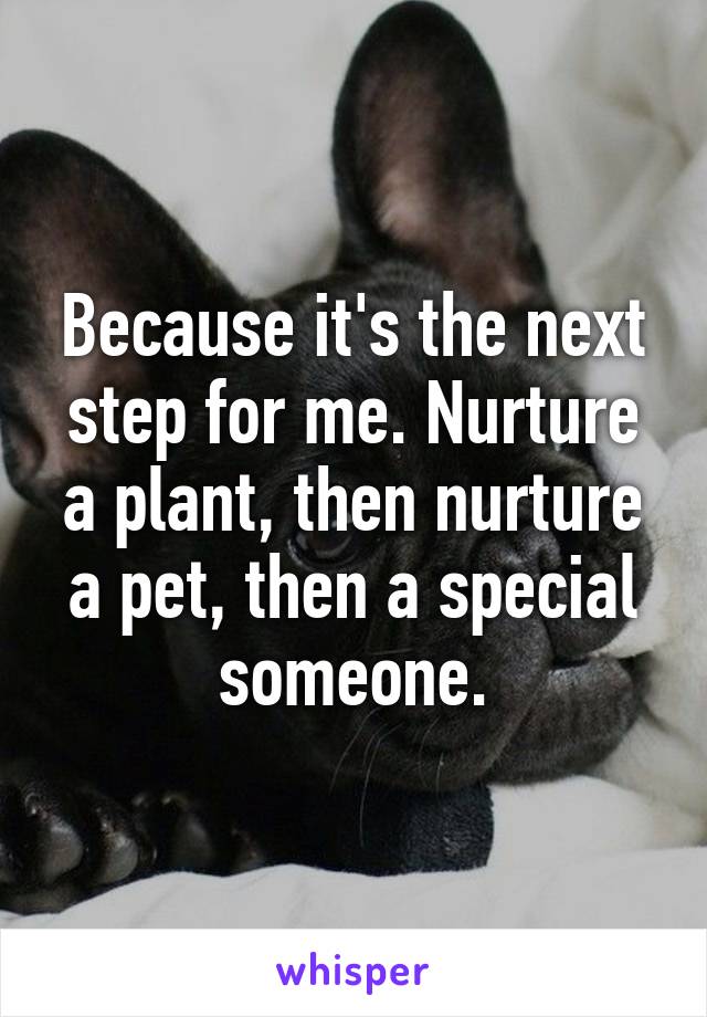 Because it's the next step for me. Nurture a plant, then nurture a pet, then a special someone.