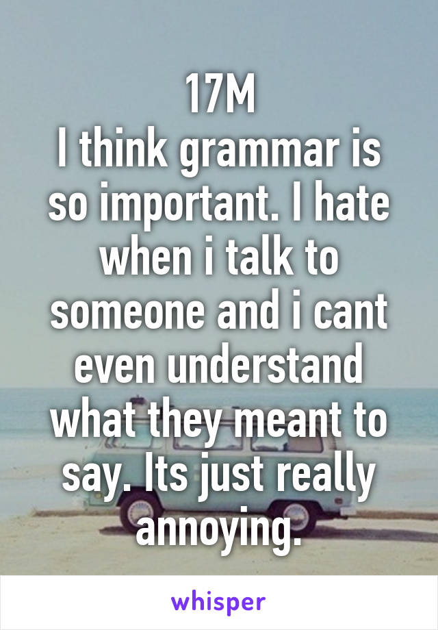 17M
I think grammar is so important. I hate when i talk to someone and i cant even understand what they meant to say. Its just really annoying.