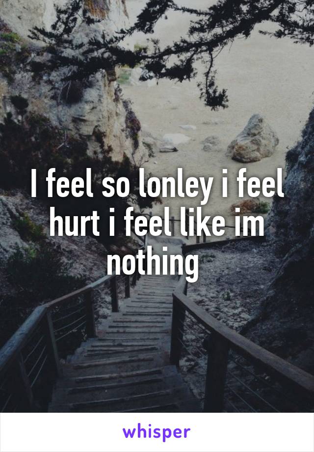 I feel so lonley i feel hurt i feel like im nothing 