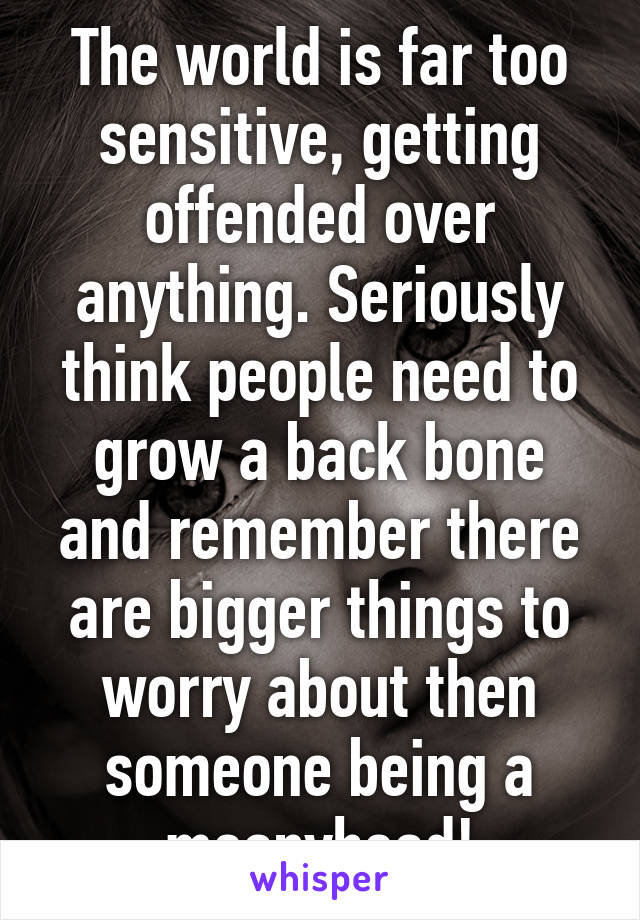 The world is far too sensitive, getting offended over anything. Seriously think people need to grow a back bone and remember there are bigger things to worry about then someone being a meanyhead!