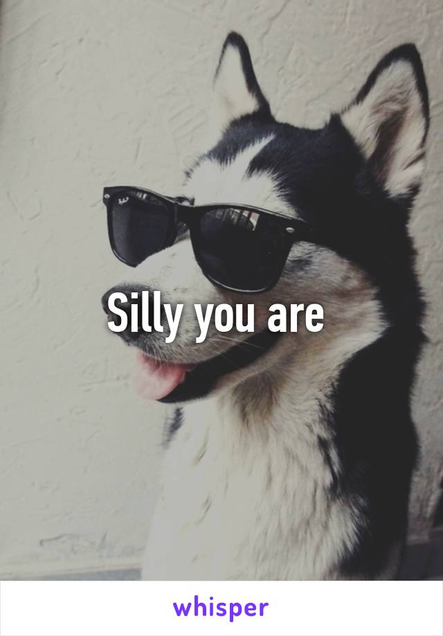 Silly you are 