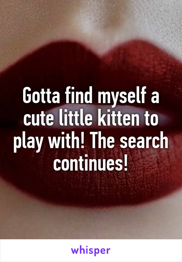 Gotta find myself a cute little kitten to play with! The search continues!