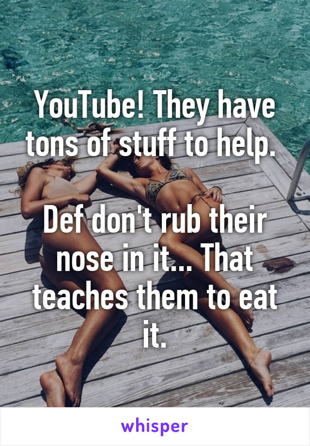 YouTube! They have tons of stuff to help. 

Def don't rub their nose in it... That teaches them to eat it.