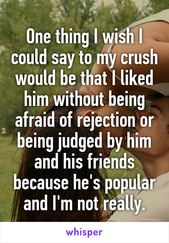 One thing I wish I could say to my crush would be that I liked him without being afraid of rejection or being judged by him and his friends because he's popular and I'm not really.