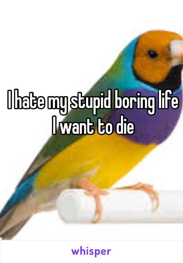 I hate my stupid boring life I want to die  