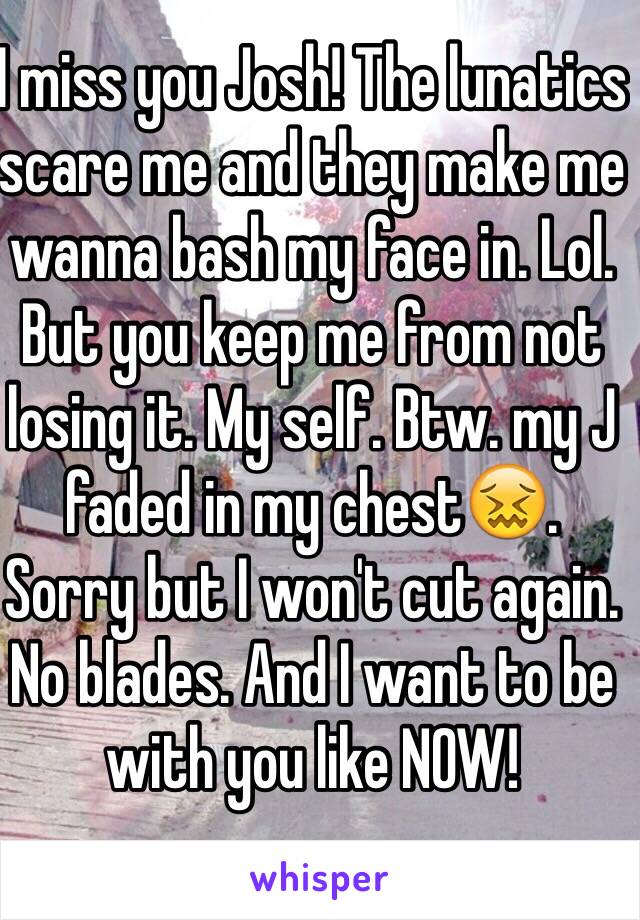 I miss you Josh! The lunatics scare me and they make me wanna bash my face in. Lol. But you keep me from not losing it. My self. Btw. my J faded in my chest😖. Sorry but I won't cut again. No blades. And I want to be with you like NOW! 