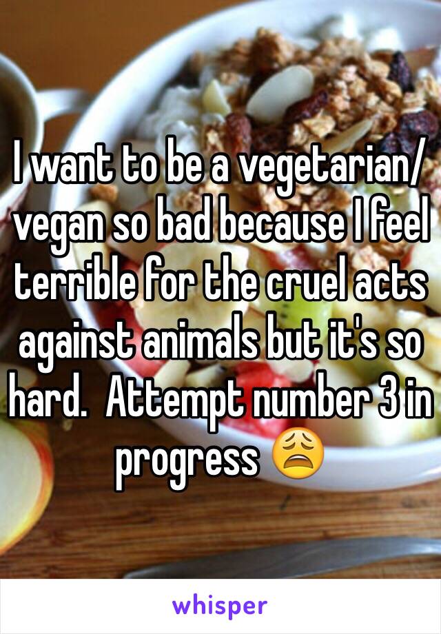 I want to be a vegetarian/ vegan so bad because I feel terrible for the cruel acts against animals but it's so hard.  Attempt number 3 in progress 😩