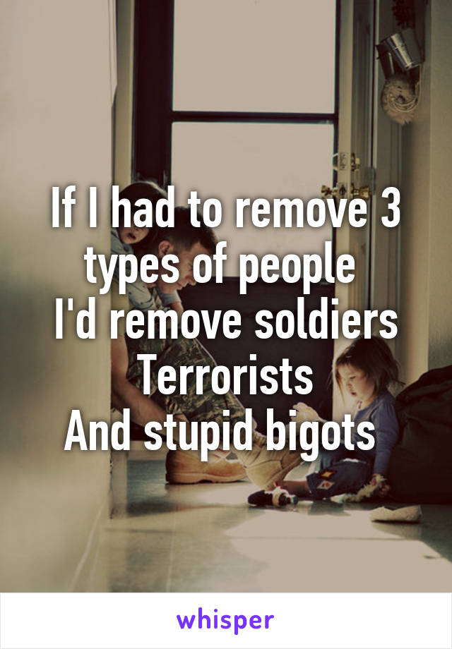 If I had to remove 3 types of people 
I'd remove soldiers
Terrorists
And stupid bigots 