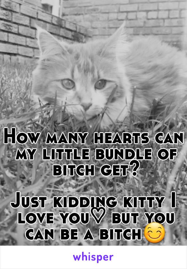 How many hearts can my little bundle of bitch get?

Just kidding kitty I love you♡ but you can be a bitch😊