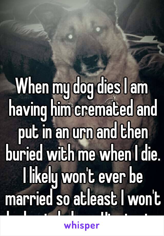 When my dog dies I am having him cremated and put in an urn and then buried with me when I die. I likely won't ever be married so atleast I won't be buried alone. Him in pic..