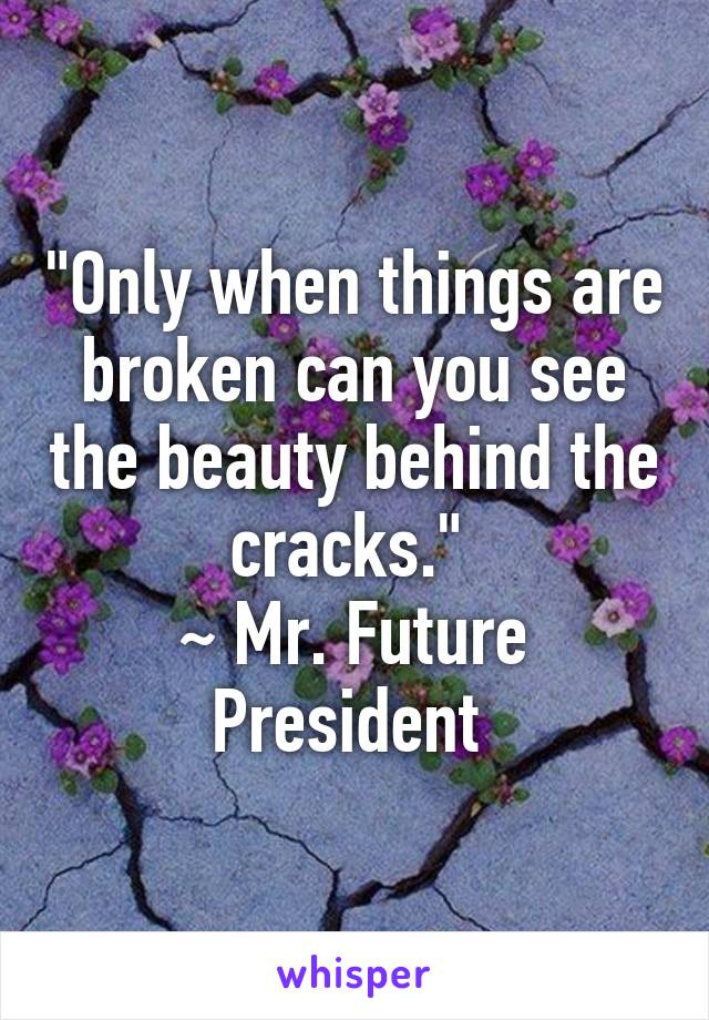 "Only when things are broken can you see the beauty behind the cracks." 
~ Mr. Future President 