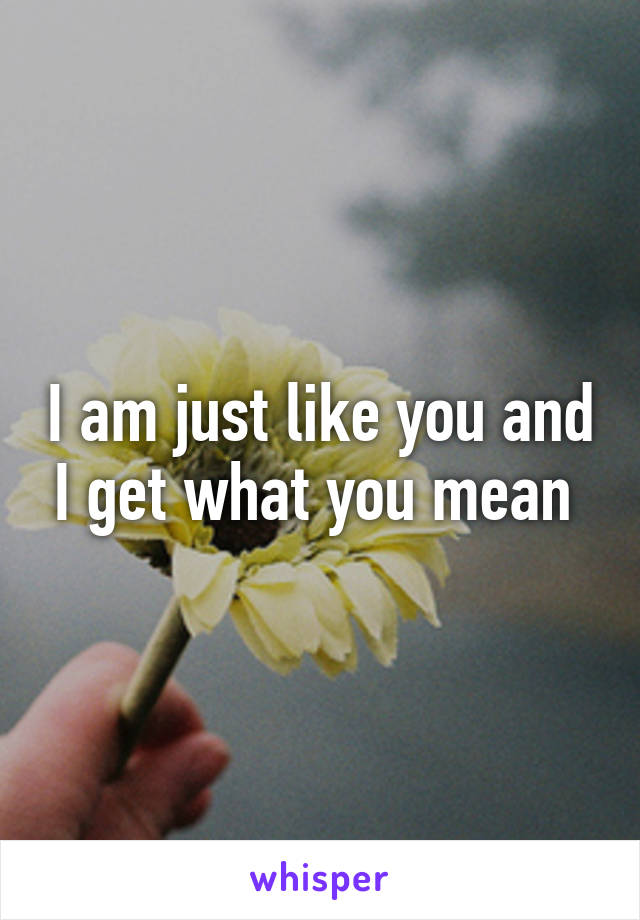 I am just like you and I get what you mean 