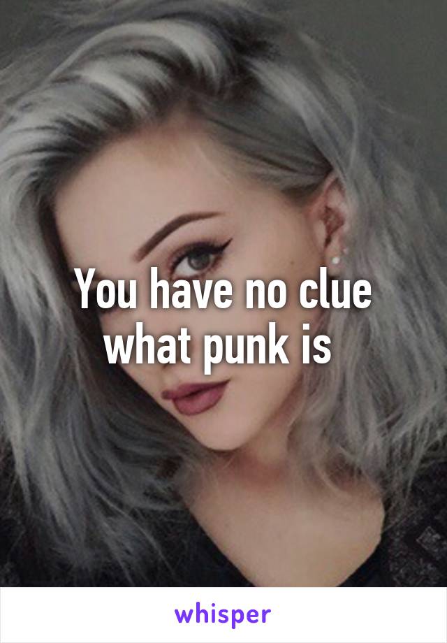 You have no clue what punk is 