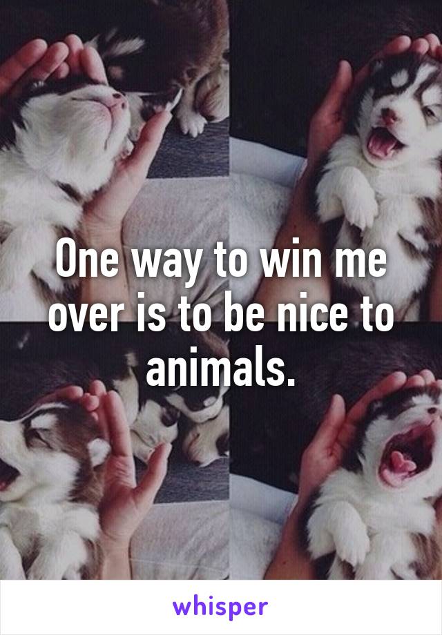 One way to win me over is to be nice to animals.