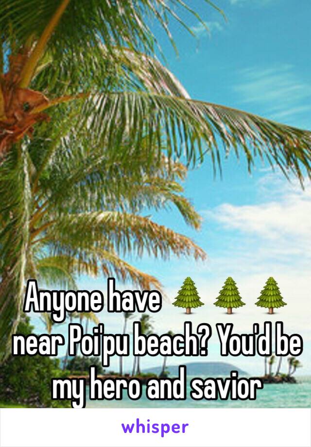 Anyone have 🌲🌲🌲 near Poi'pu beach? You'd be my hero and savior