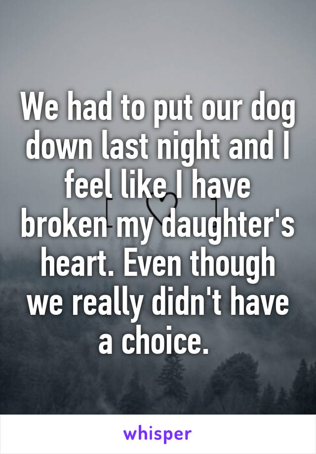 We had to put our dog down last night and I feel like I have broken my daughter's heart. Even though we really didn't have a choice. 