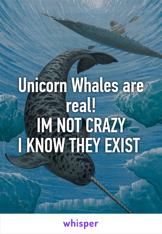 Unicorn Whales are real!
IM NOT CRAZY
I KNOW THEY EXIST 