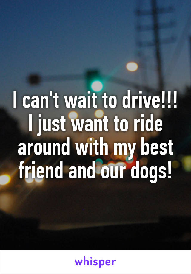 I can't wait to drive!!! I just want to ride around with my best friend and our dogs!