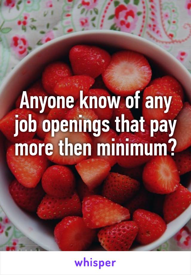 Anyone know of any job openings that pay more then minimum? 