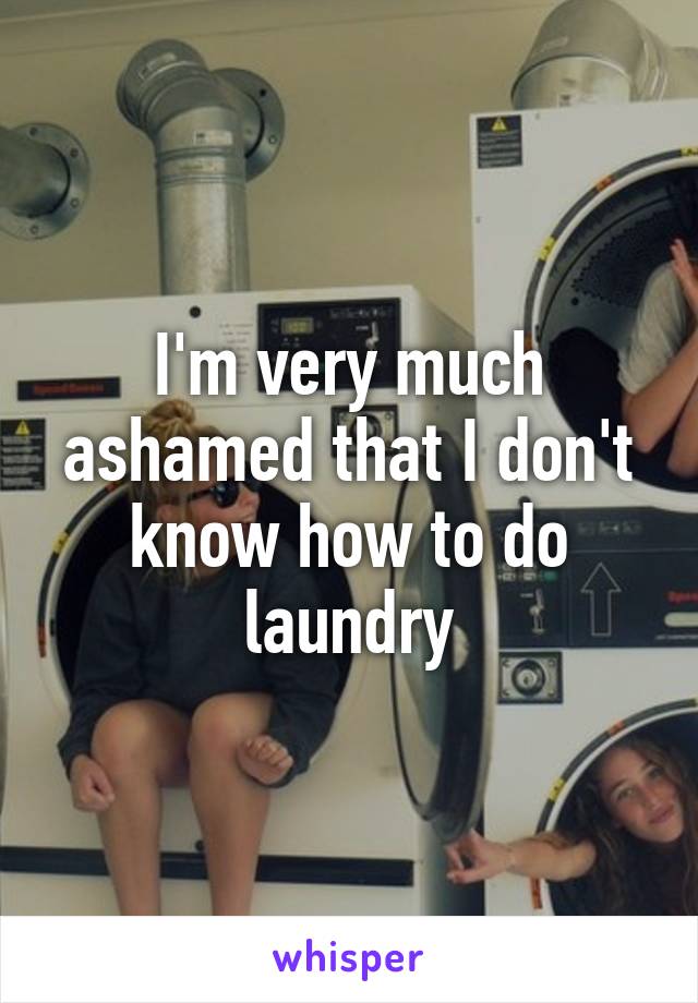 I'm very much ashamed that I don't know how to do laundry