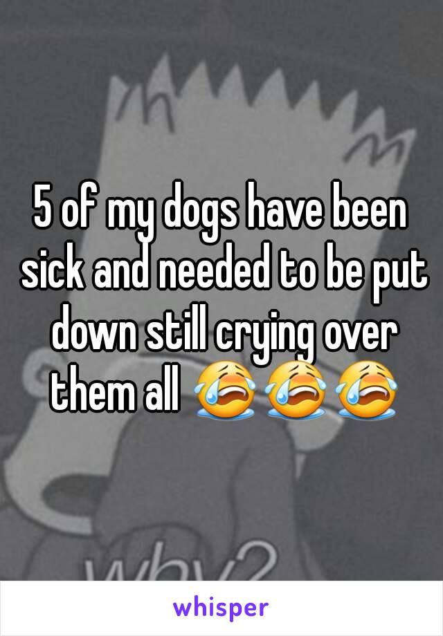 5 of my dogs have been sick and needed to be put down still crying over them all 😭😭😭