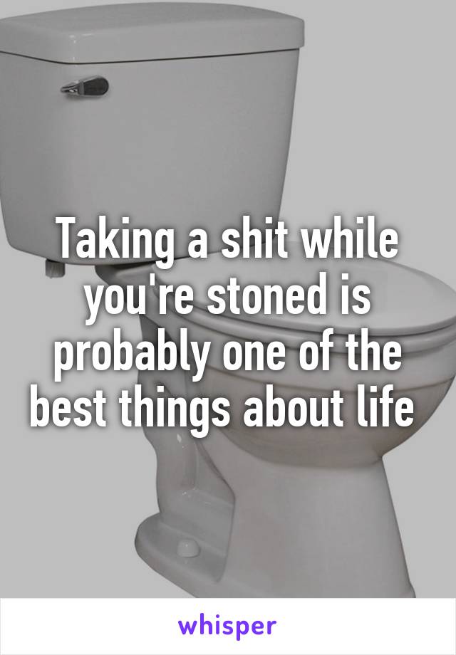 Taking a shit while you're stoned is probably one of the best things about life 